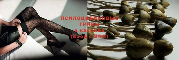 прущая мука Вязьма