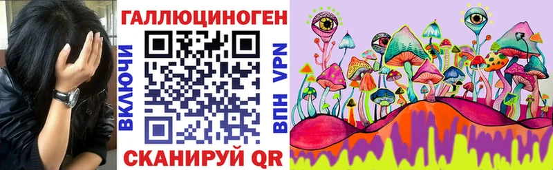 Псилоцибиновые грибы Psilocybine cubensis купить наркоту Елабуга